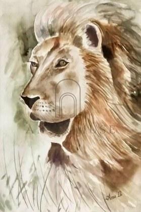 A lion at rest, painted in watercolour on paper